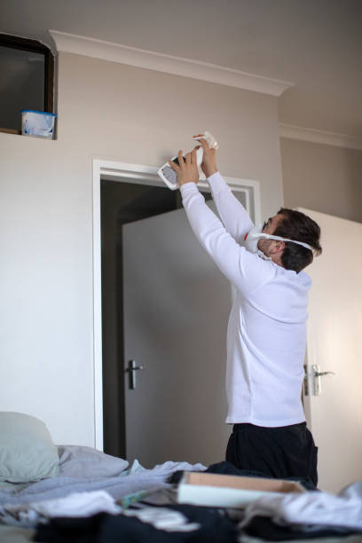  Moorhead, MN Mold Removal Pros