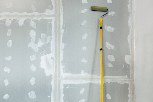 Best Post-Construction Mold Inspection  in Moorhead, MN