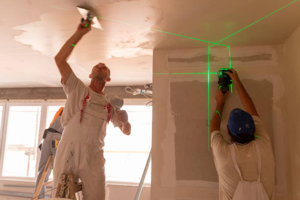 Best Basement Mold Removal  in Moorhead, MN