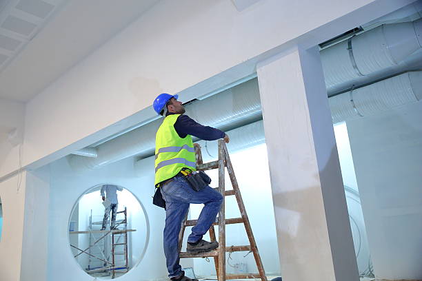 Professional Mold Removal in Moorhead, MN